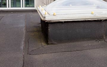 disadvantages of Grafty Green flat roofs