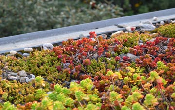 the cost of Grafty Green green roof installation