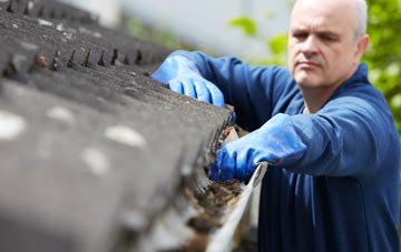 cleaning and inspecting Grafty Green roofs