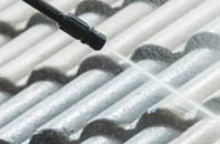 rated Grafty Green roof cleaning companies